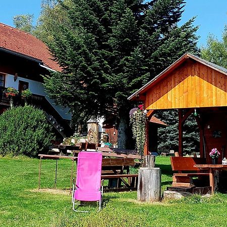 Ubytovani V Sumavskem Dome Nove Hute Buitenkant foto