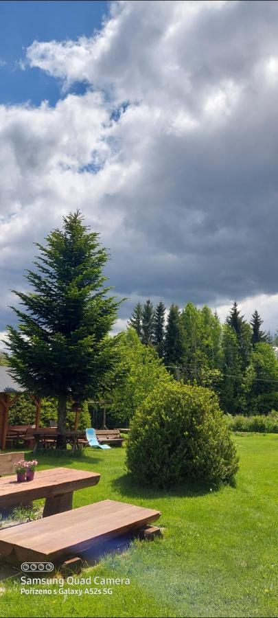 Ubytovani V Sumavskem Dome Nove Hute Buitenkant foto