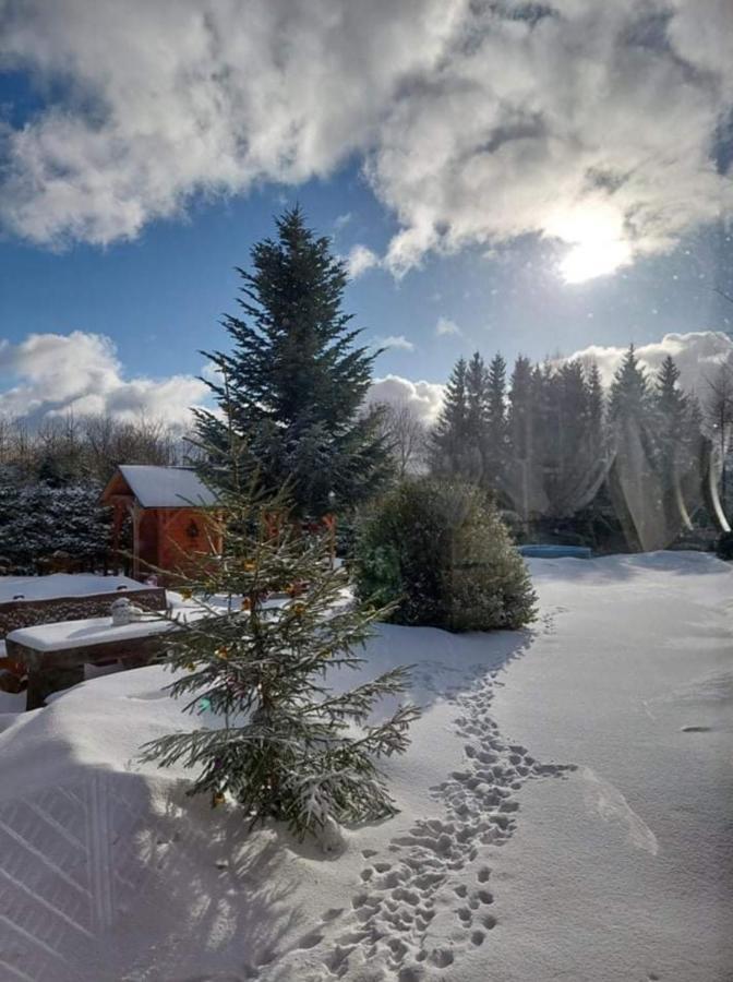 Ubytovani V Sumavskem Dome Nove Hute Buitenkant foto