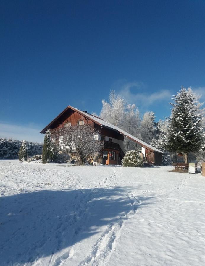 Ubytovani V Sumavskem Dome Nove Hute Buitenkant foto