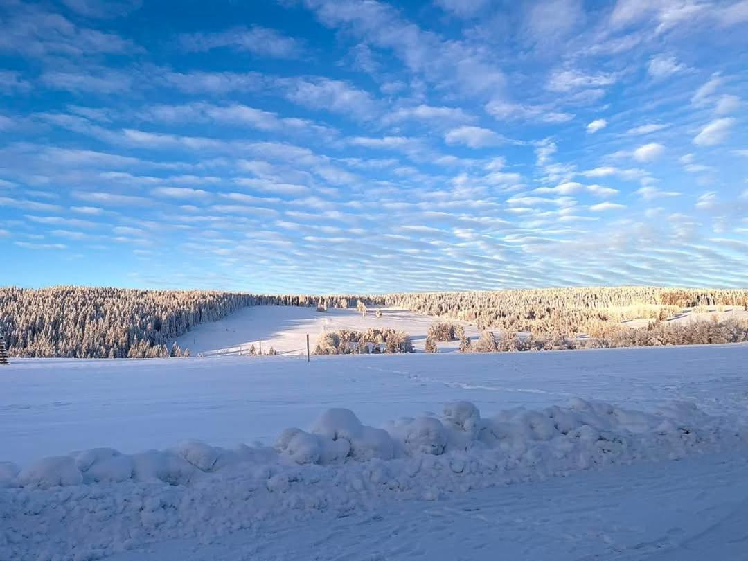 Ubytovani V Sumavskem Dome Nove Hute Buitenkant foto