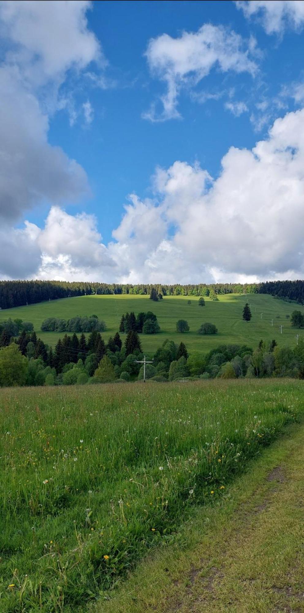 Ubytovani V Sumavskem Dome Nove Hute Buitenkant foto